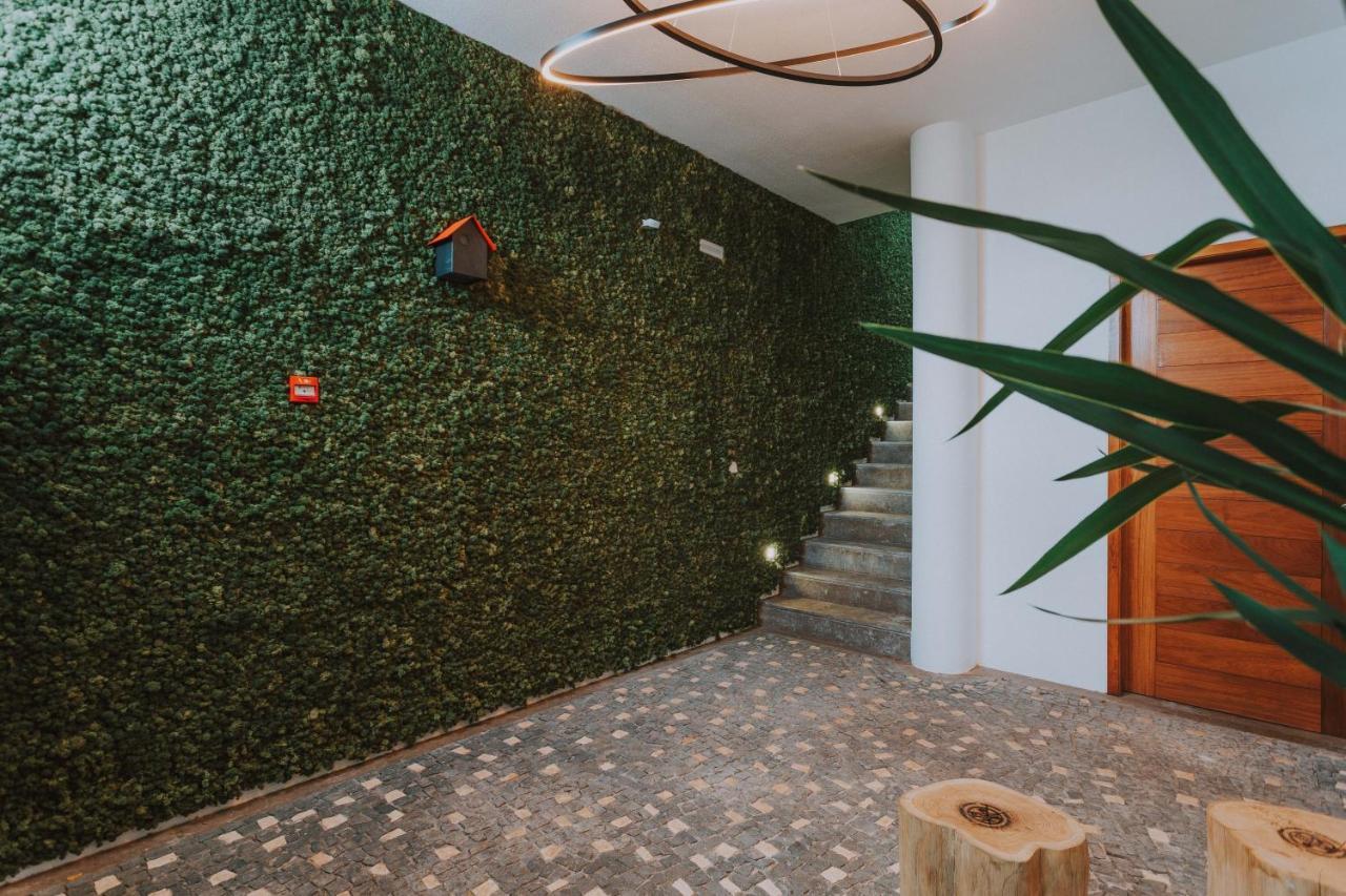 Flh Casa Branca Madeira Apartman Funchal  Kültér fotó